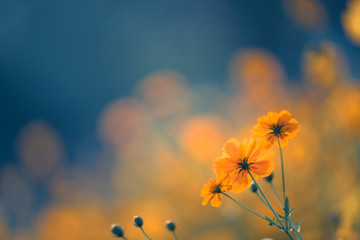 女团比赛中为什么感觉陈梦比不上搭档王曼昱？