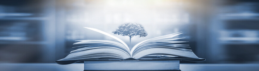 4出排气孔国产车