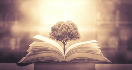 东京奥运会乒乓球混双冠军是谁