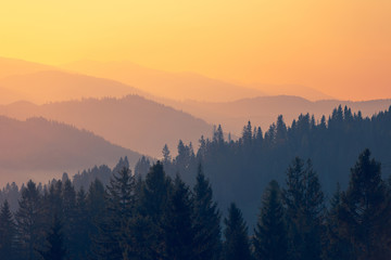 女团比赛中为什么感觉陈梦比不上搭档王曼昱？