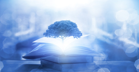 4出排气孔国产车