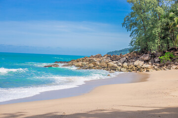 汽车标志唐是什么牌子？