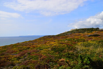 乒乓球比赛过程精彩描写