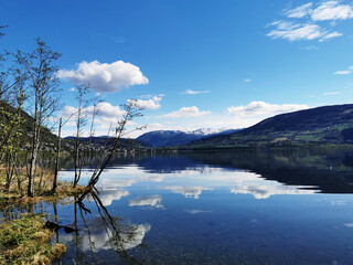 国产车销量排行榜