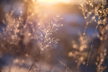 为什么有人愿意花20万买红旗HS5？