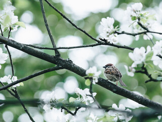 国产车销量排行榜