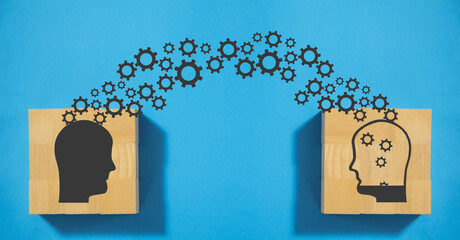 东京奥运会乒乓球混双冠军是谁