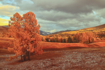 乒乓球球在对面可以触桌几次