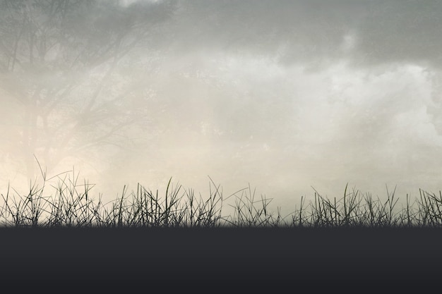 东京奥运会乒乓球混双冠军是谁