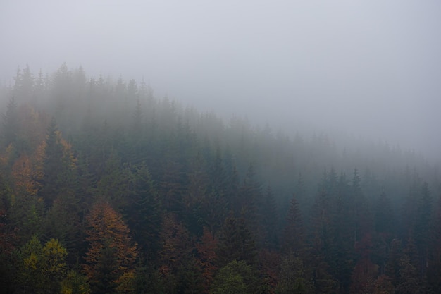 乒乓球球在对面可以触桌几次