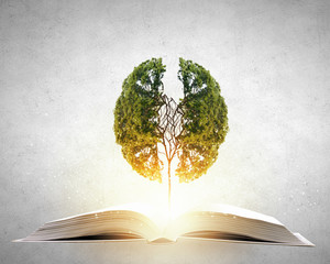 东京奥运会乒乓球混双冠军是谁