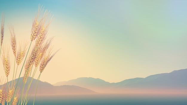 国产车销量排行榜