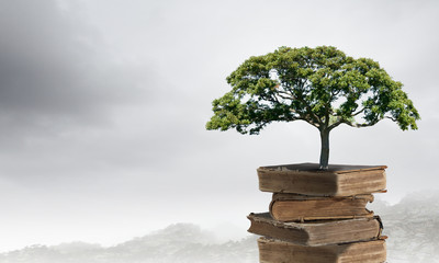 中国十佳运动员名单