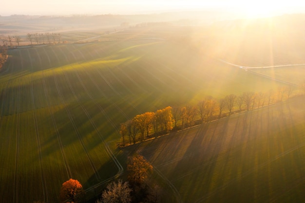 东京奥运会乒乓球混双冠军是谁