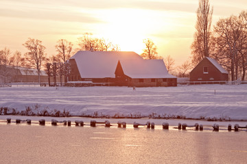 乒乓球比赛过程精彩描写