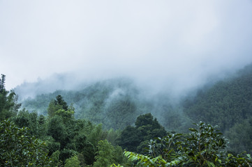 国产车销量排行榜